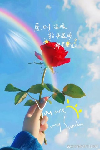 发朋友圈吸引人的句子，句句阳光，让人眼前一亮