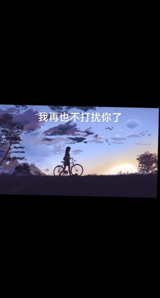 朋友圈超洒脱的句子，对不起，我不会再打扰你了