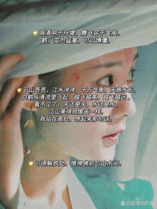 鹤唳华亭：忘不掉的唯美台词~绝美古风