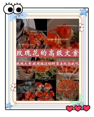 关于养花的唯美朋友圈文案，有感而发，说到心坎！