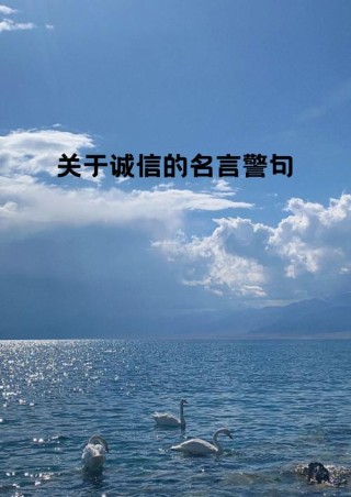 诚信的名人名言，诚信的名人名言，诚信是立身之本，是人与人之间交往的基石。