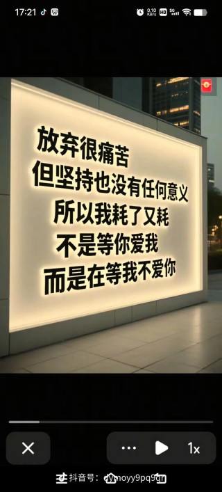 如果有一天，我不再爱你，不再打扰你，不是我无情，是我累了