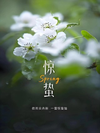 一声惊雷万蛰醒，涅槃重生踏春行