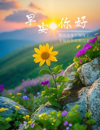 早安心语优美的短句子，每一句话都温暖人心