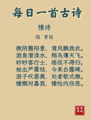 情诗短句 最美，情诗短句，诗意之美。