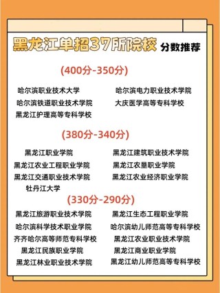 哈尔滨华德学院各专业2026在黑龙江招生人数、录取分数线（附：招生计划表）