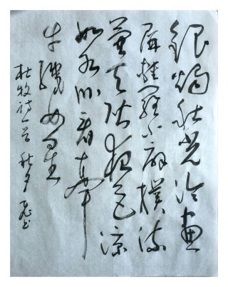 “银烛秋光冷画屏，轻罗小扇扑流萤”欣赏古诗词中的秋天