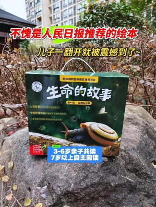 绘本《生命的奇迹》：讲述生命的由来传承与连接，让孩子学会珍惜