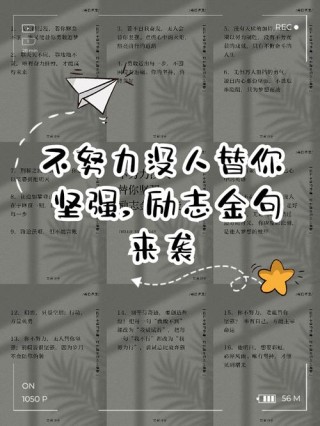 正能量励志语录短句：坚持别人不能坚持的，才配拥有别人没有的