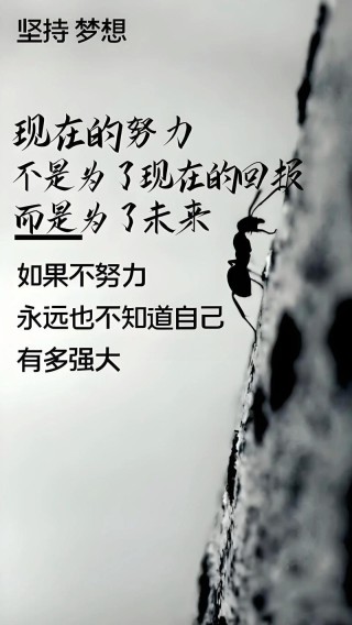 努力活好自己的句子，句句精彩