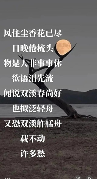 情感语录：青春的风轻轻的吹过像风中缭乱的发丝剪不断理还乱愁