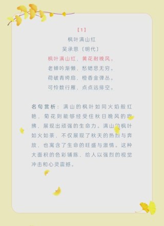 一片叶，一段情；一地叶，一首诗；落叶情，美在心