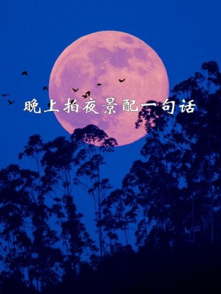 夜晚美景的句子：沉醉夜色，缱绻美景，静享灵魂的安宁
