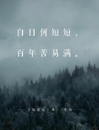 天地初寒，愿岁月安暖
