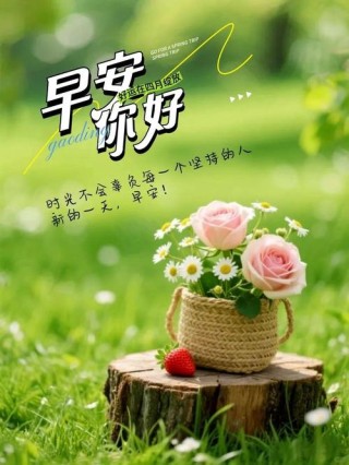 早安问候每日一语，高情商向领导问候早安的句子