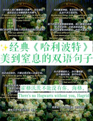 长大后，才真正看懂“哈利·波特”中的这些台词
