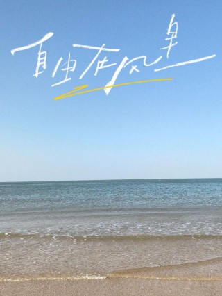 海边游玩的文案
