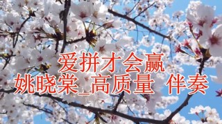 爱“拼”才会赢