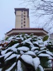三月的雨,三月的雪