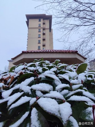 三月的雨,三月的雪