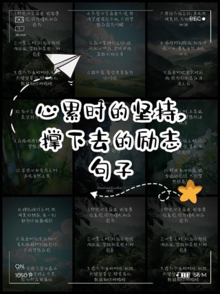 永不放弃的精神?励志文章