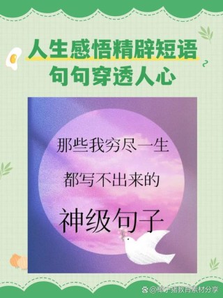 人生感悟句子句句穿心，生活哲理经典语录