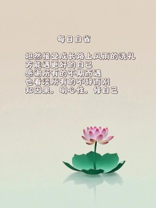 致自己心静的句子，心静致远，自我对话的宁静之语