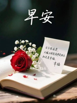 朋友圈早上最暖心窝的唯美说说句子