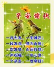问候朋友早上好温馨祝福语录