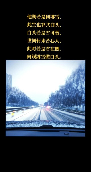 掌心化雪，世事微暖