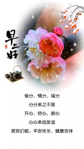 相遇很美，美到心动；缘分很暖，暖到落泪，早安