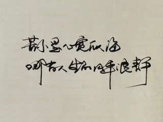 若无心宽如海，哪来人生风平浪静