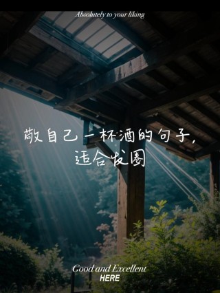 我敬岁月一杯酒，岁月分我三分忧