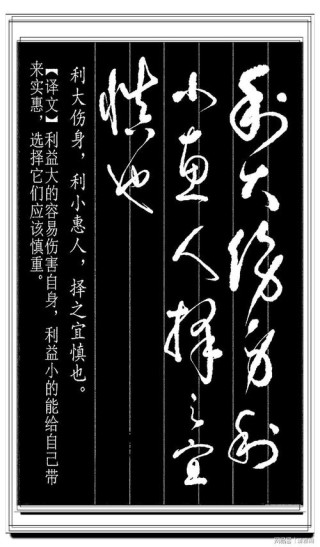 书法爱好者首选读物：高进原版草书集《书法金句100句》，非常棒