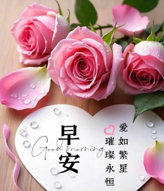 早上好！几句经典爱情说说，句句深情，最喜欢第7句