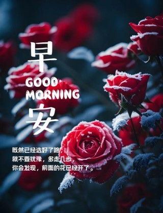 自我激励的早安励志句子，免打字早安愉快的问候祝福语图片带字