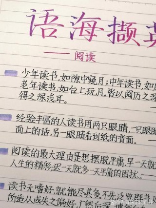 读书名言名句优美句子摘抄，读书名言，汲取智慧之美，品味书香之韵
