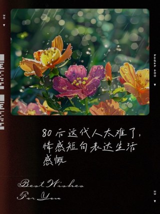 80后感慨人生的句子(心灵感悟)