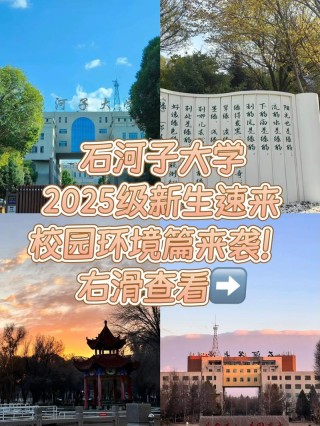 石河子大学健康服务与管理专业怎么样？排名好不好