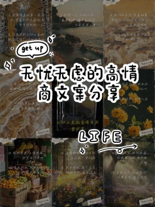 文案｜下辈子 当风 当云 无忧无虑