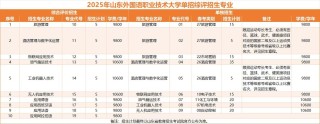 2025山东外国语职业技术大学本科招生简章：专业目录、计划招生人数及学费