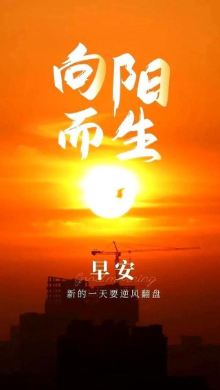 「今日寄语」早安的句子朋友圈简短适合鼓励自己，新的一天，加油