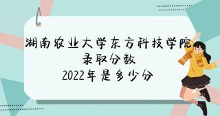 2026湖南农业大学东方科技学院各专业在河南招生人数、录取分数线（附：招生计划表）