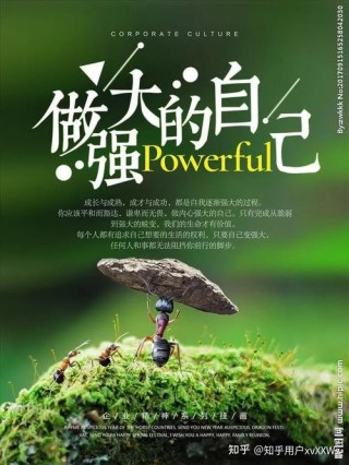 一个人走向强大的标志：往事看淡，难事看开，大事看远