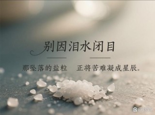 不过是流着眼泪吃着肉