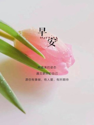 清透干净早安正能量智慧句子，自我鼓励，勇敢面对困难