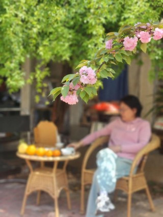 散文：喝茶赏花，度余生