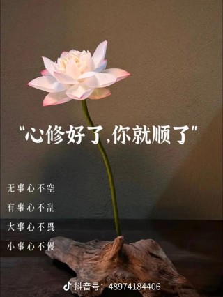 心中无烦，心自安；放下昨天，风云淡，静心看世界，事事皆美好