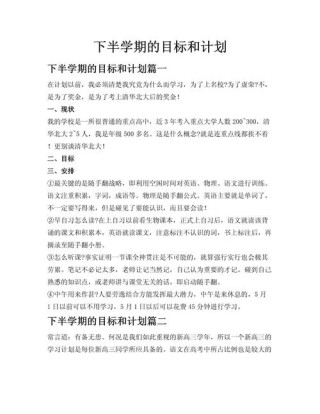 制定实现目标的行动计划
