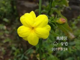 人一逄春便高兴 （打一字）